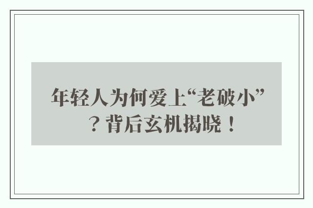 年轻人为何爱上“老破小”？背后玄机揭晓！