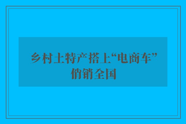 乡村土特产搭上“电商车”俏销全国