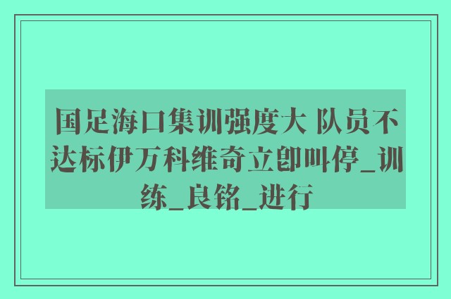 国足海口集训强度大 队员不达标伊万科维奇立即叫停_训练_良铭_进行