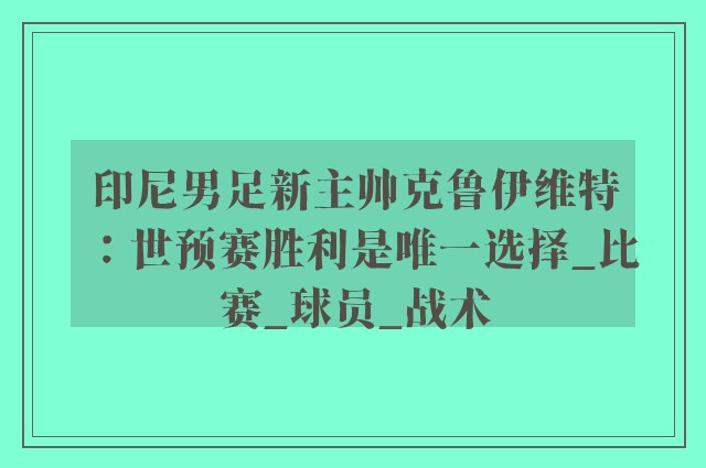 印尼男足新主帅克鲁伊维特：世预赛胜利是唯一选择_比赛_球员_战术